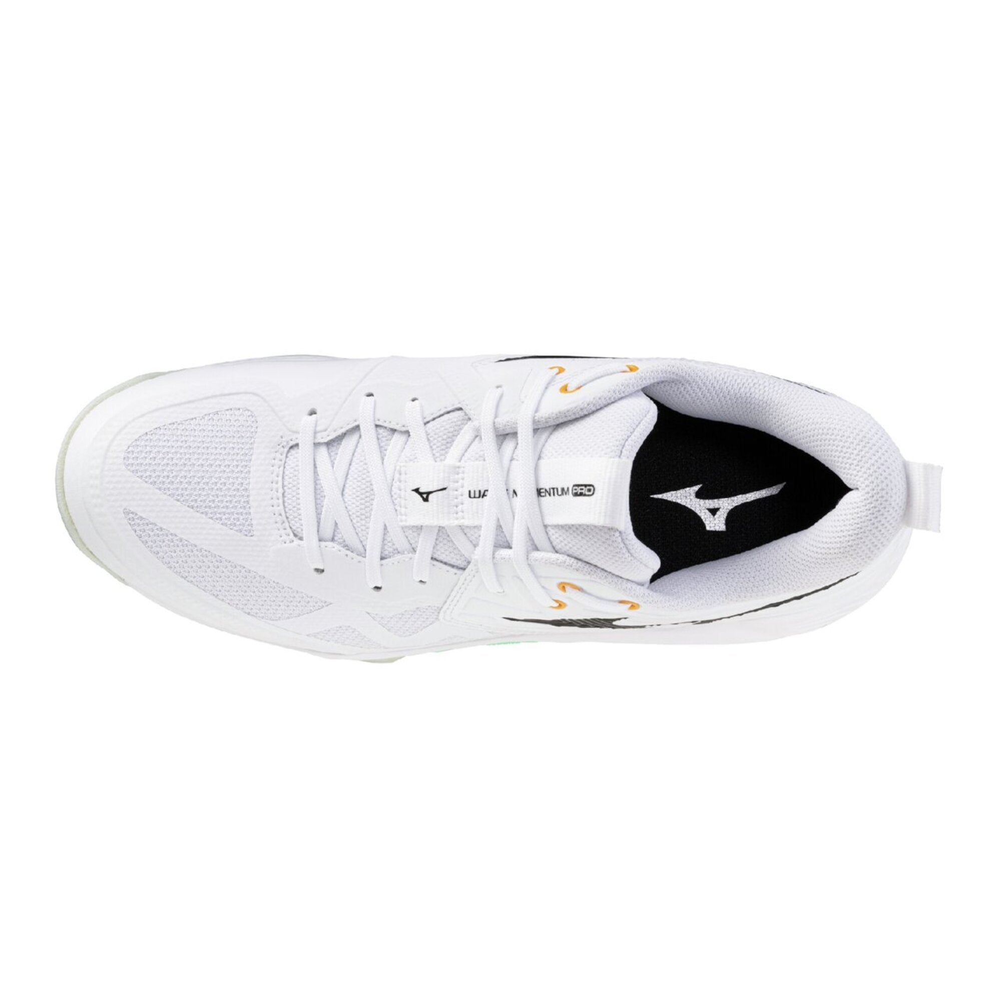 WAVE MOMENTUM PRO - Footwear - Shoes